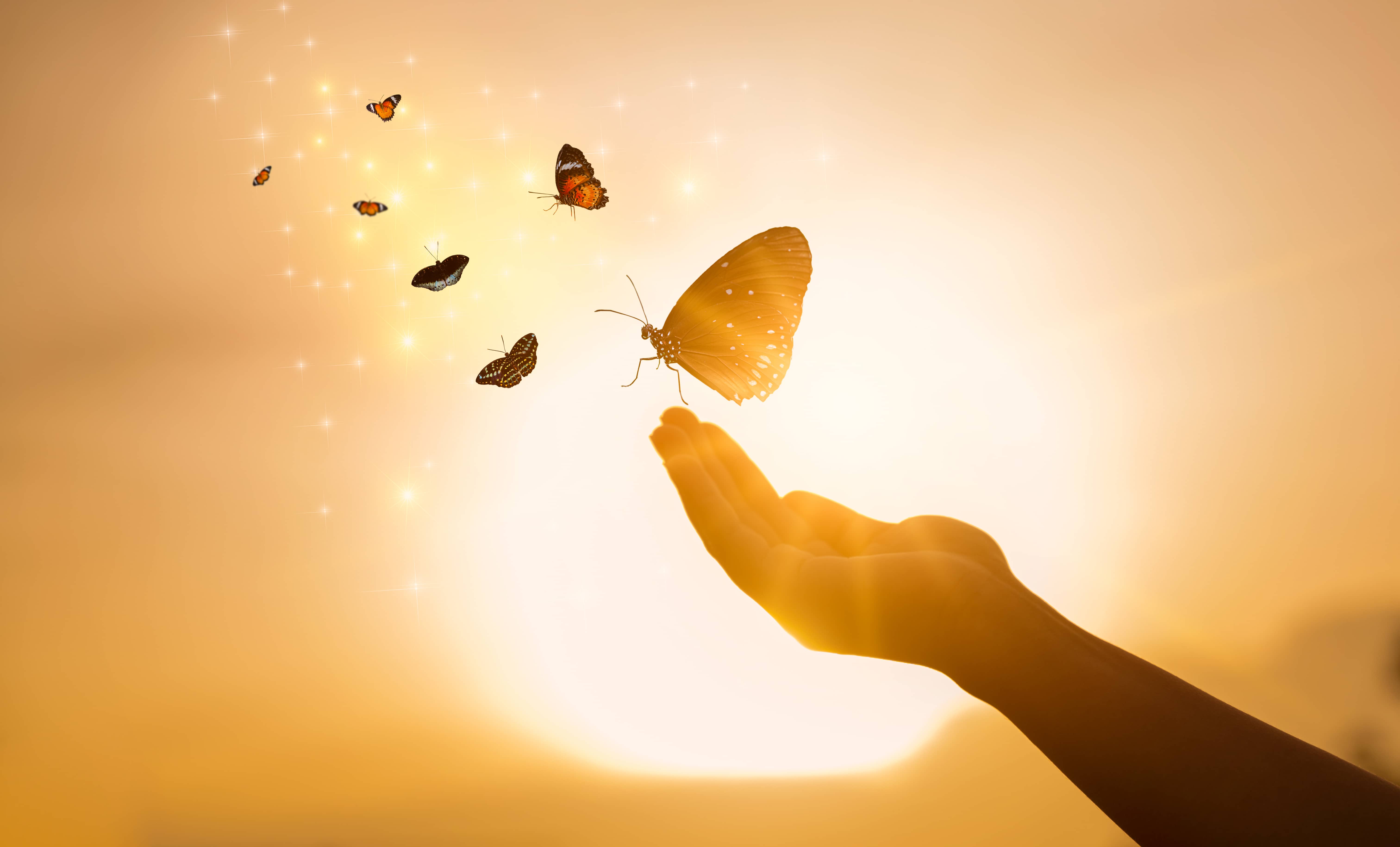 thegirlfreesthebutterflyfrommomentconceptoffreedom