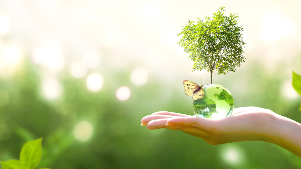 earthcrystalglassglobeballandgrowingtreeinhuman-2