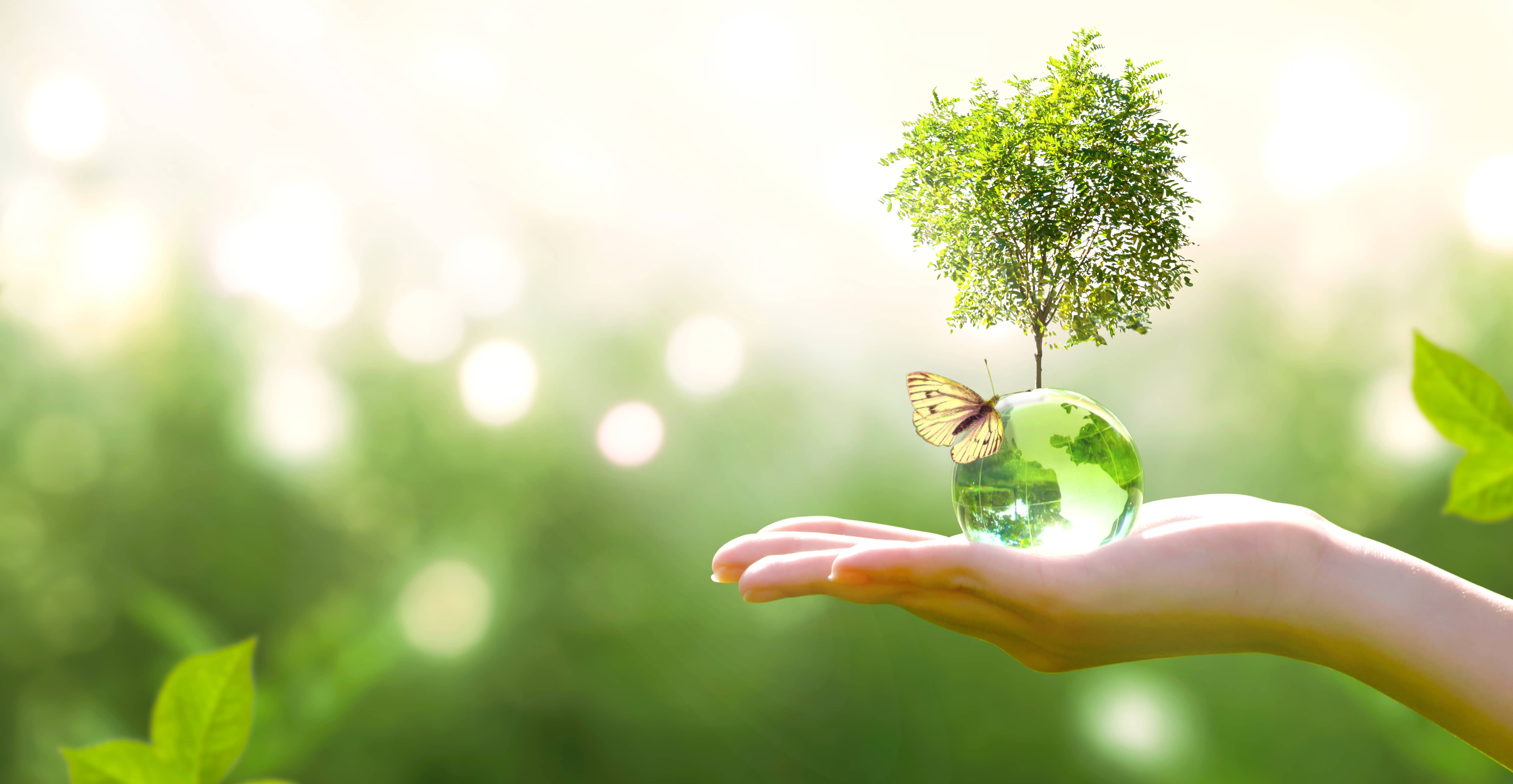 earthcrystalglassglobeballandgrowingtreeinhuman-2