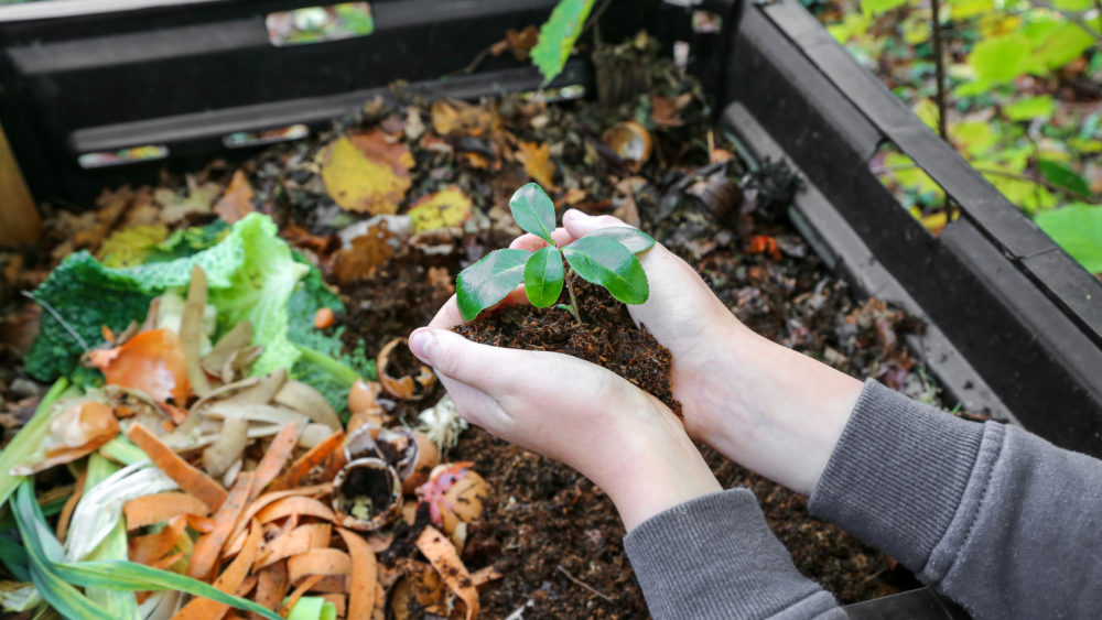 handsholdingcompostabovethecomposterwithorganicwaste