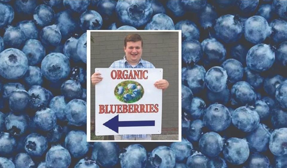 grahamberries-2