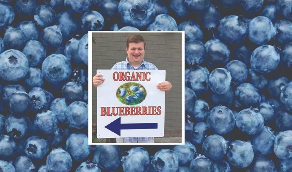 grahamberries-2