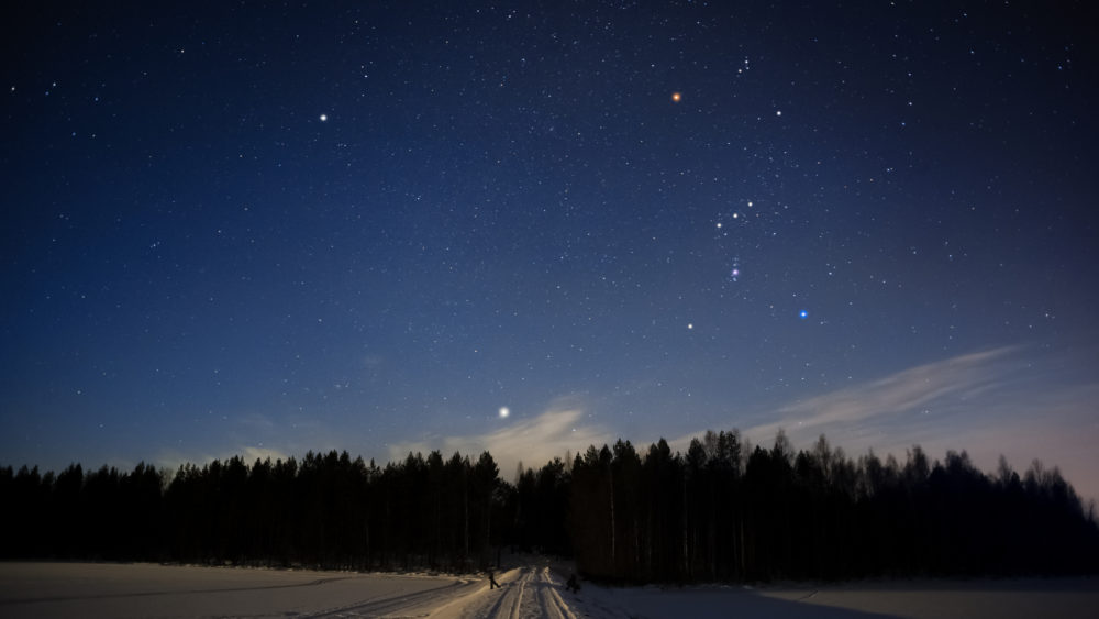 orionconstellationandsiriusaboveforestinwintersky