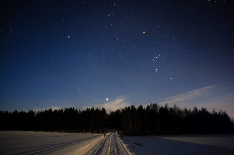 orionconstellationandsiriusaboveforestinwintersky