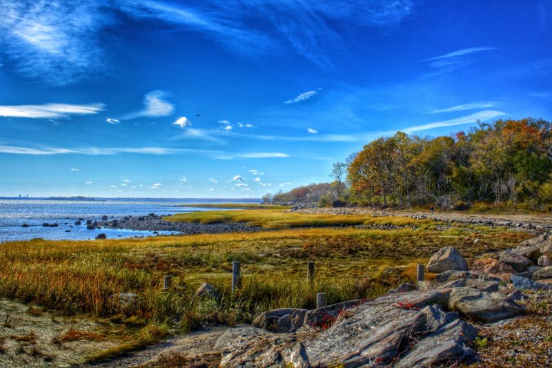 greenwich-point-park-shoreline-in-autumn