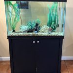 Fish Tank provided by Rob Baricelli at the 509 East Putnam Pathways residence.