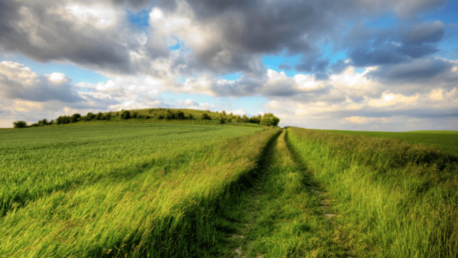 grass-nature-landscape-field-sky-clouds-trail-path