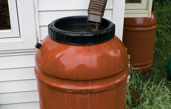 rain-barrel