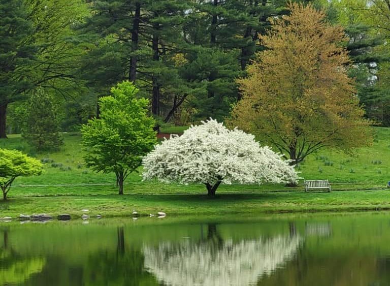 bruce-park-3