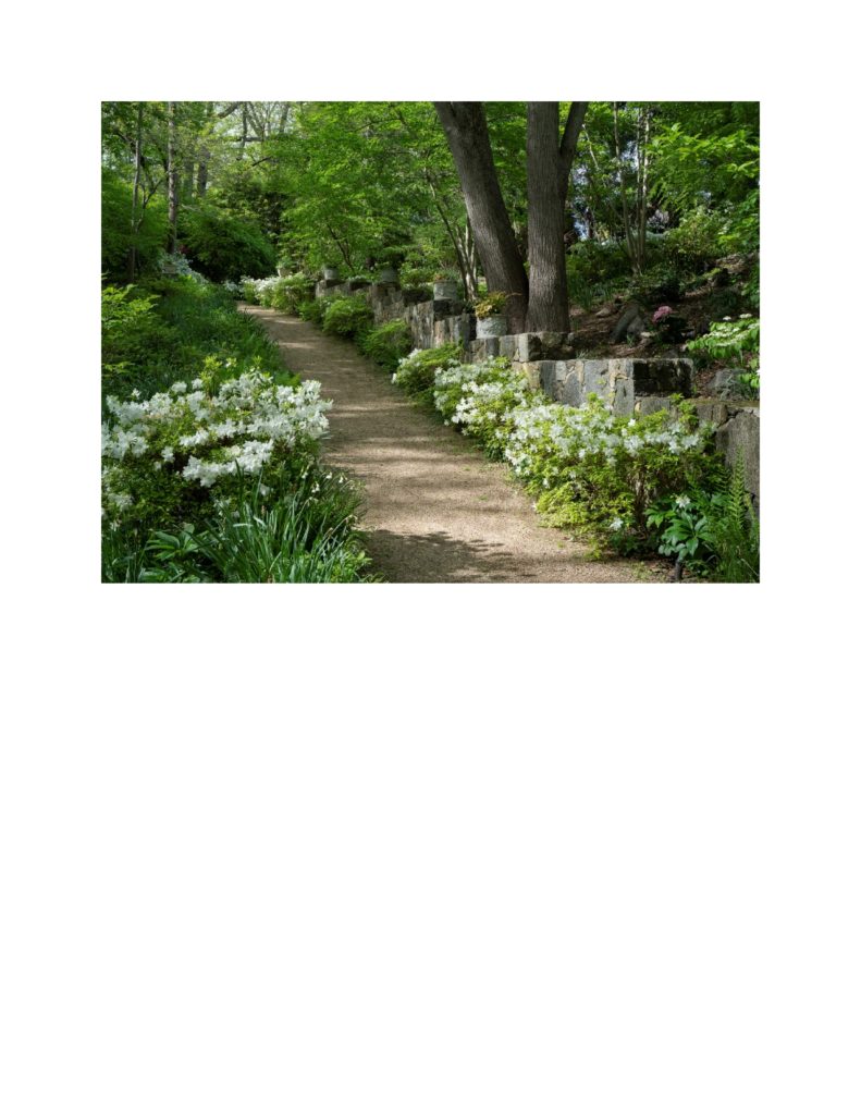 Garden Tour at Sleep Cat Farm Greenwich Sentinel