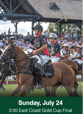 poloclub2