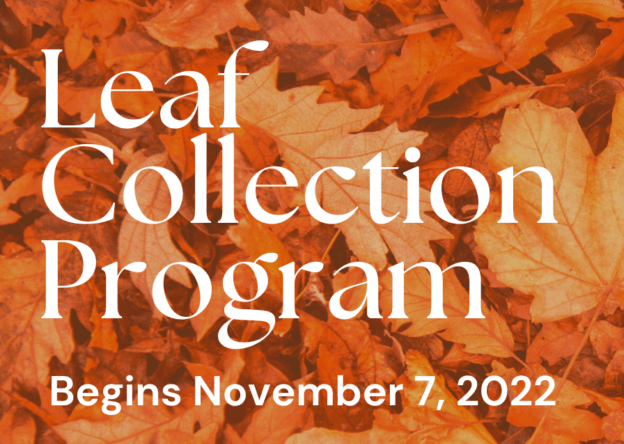 Leaf Collection--November 1st - November 30th > City of Ludlow