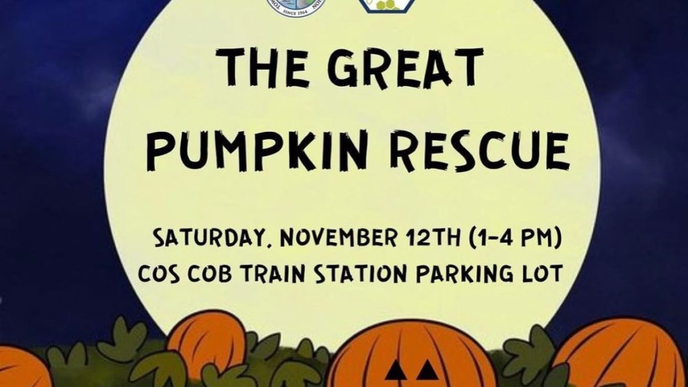 the-great-pumpkin-rescue-flyer