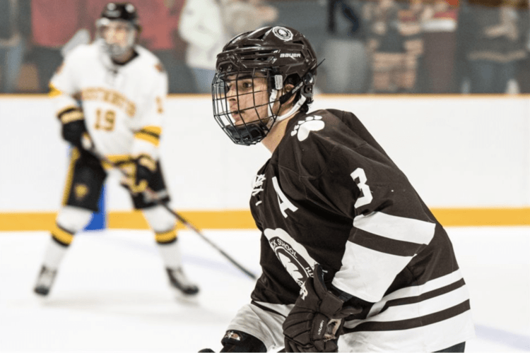 brunswick-hockey