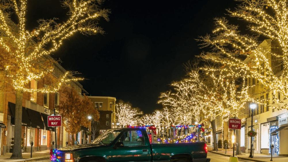 greenwich-avenue-holiday-lights-fi