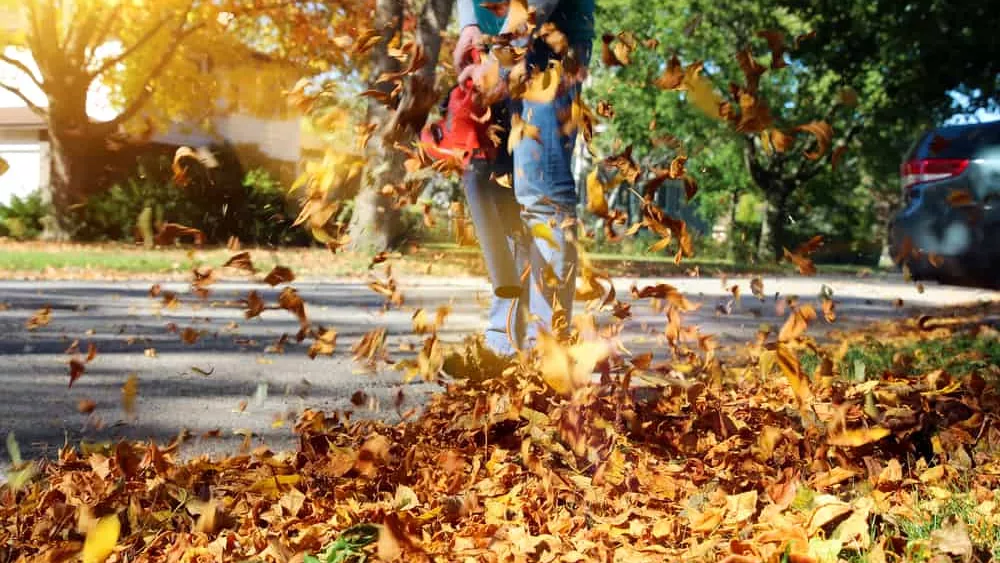 man-blowing-leaves-leaf-blower