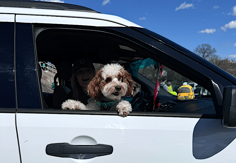 benson-patrick-the-dog