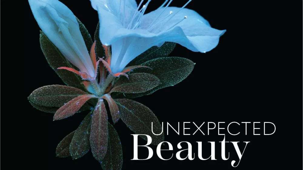 greenwich-garden-club-flower-unexpected-beauty
