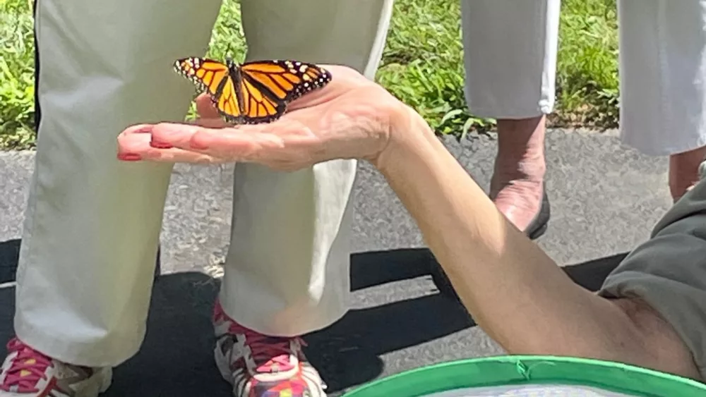 edg-pollinator-garden-1