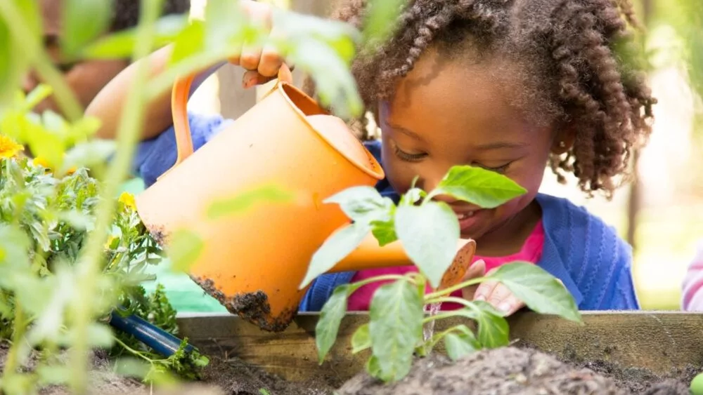 summer-activities-you-can-enjoy-at-home-that-the-kids-will-love