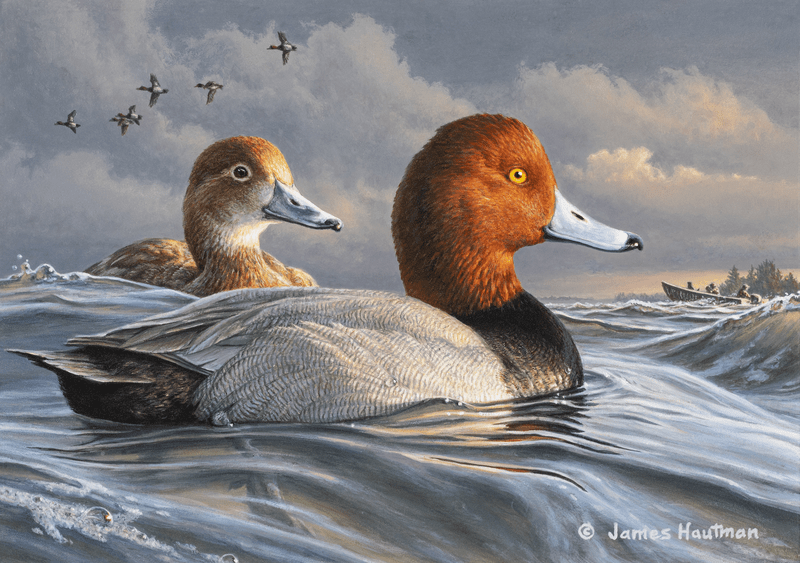 redheads_james_hautman25-width-800