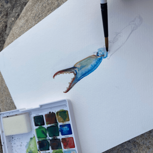 art-meets-science