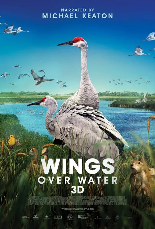 wings-over-water_3d-two-cranes_key-art_27x40_2-width-500