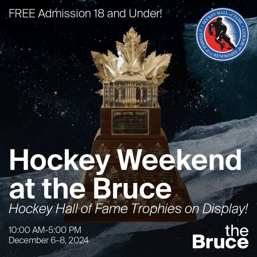 bruce-hhf-promo-06