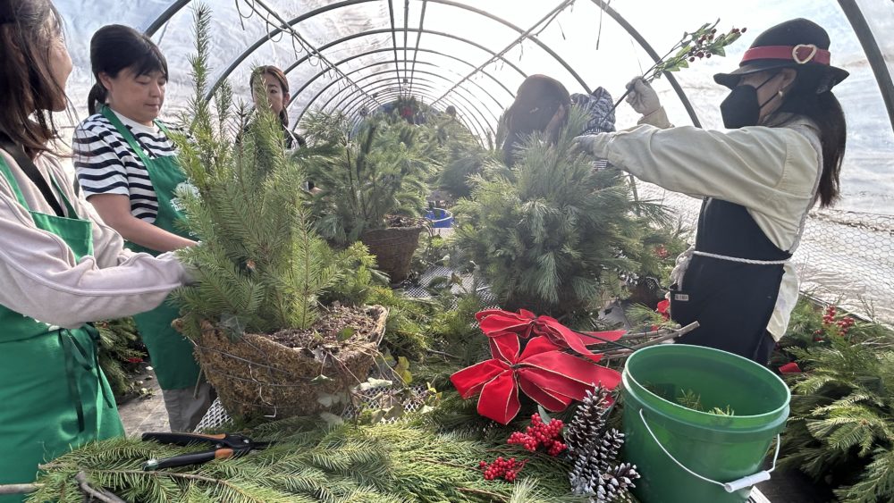 greenwich-green-clean-winter-hanging-baskets