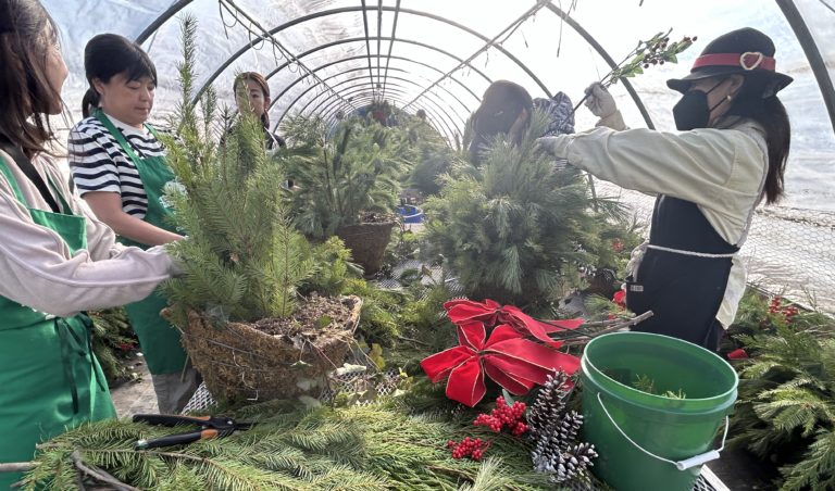 greenwich-green-clean-winter-hanging-baskets