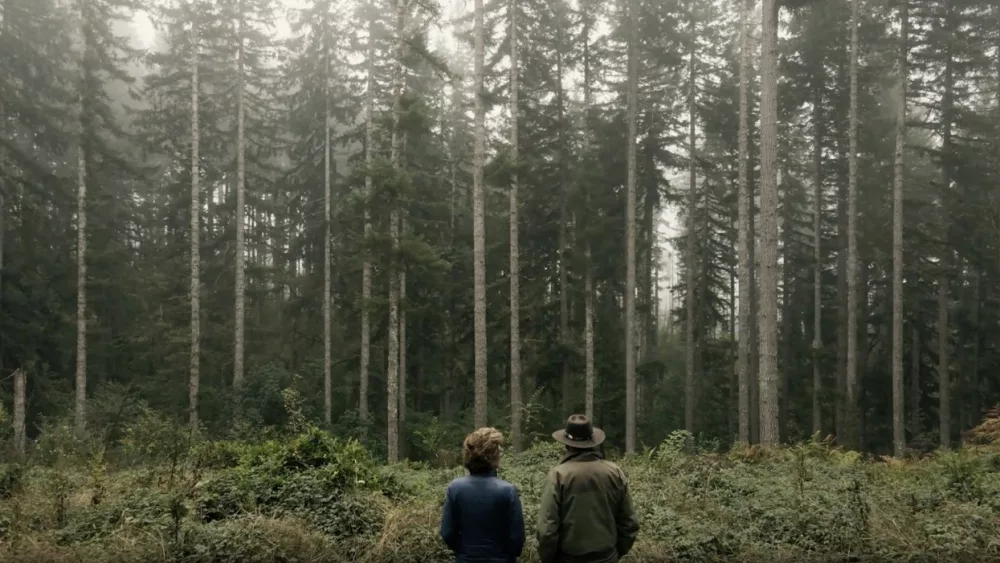 screenshot-17