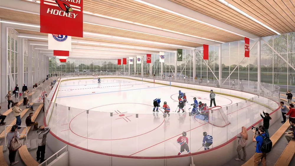 dorothy-hamill-skating-rink
