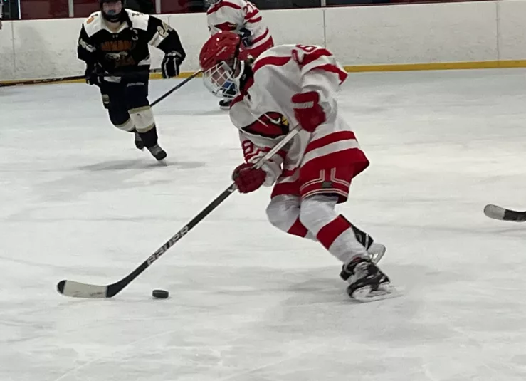 cardinals-girls-ice-hockey