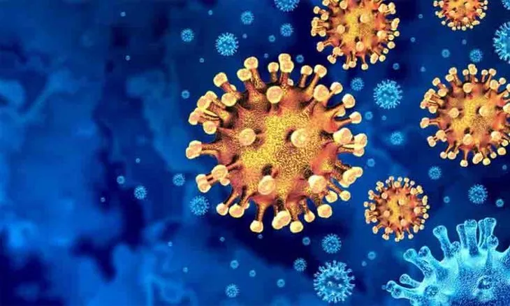 infectious-disease-outbreaks-quad-demic-viruses