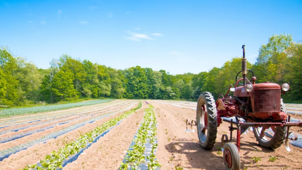 the-farm-woodbury-ct
