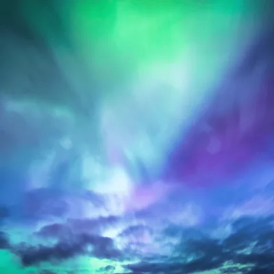 bruce-beginning-junior_-northern-lights