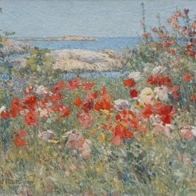 bruce-beginnings_-spring-landscapes