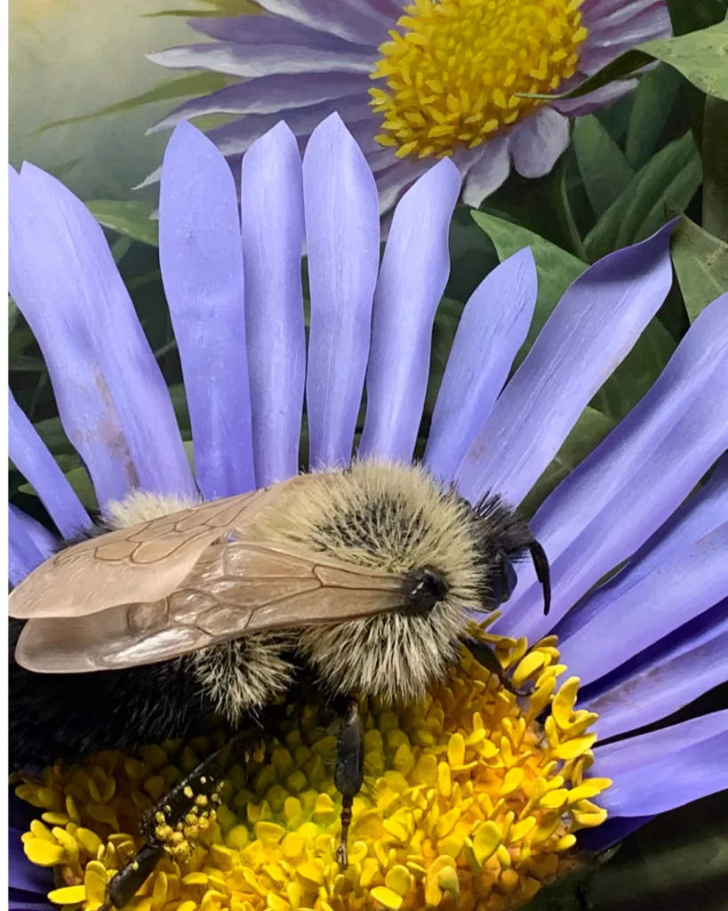 science-solvers-spring-pollinators-2