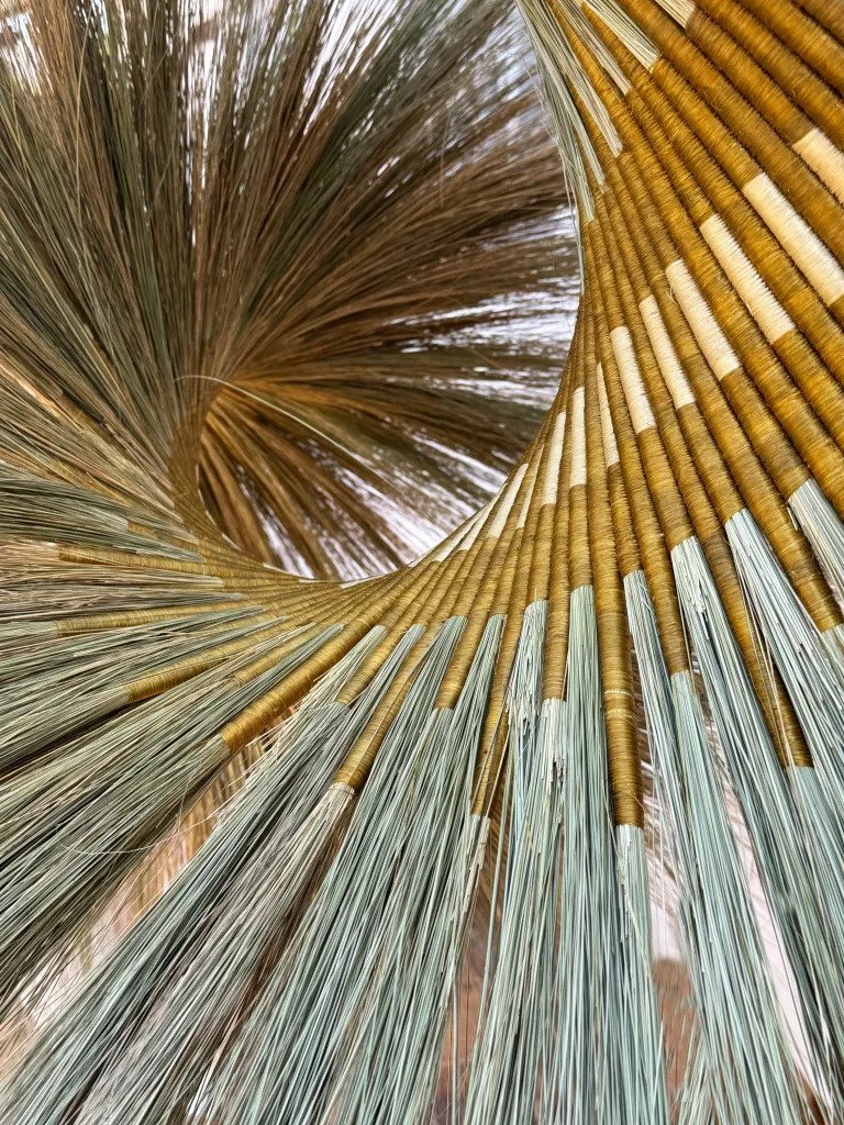 escobar_paramoespiral