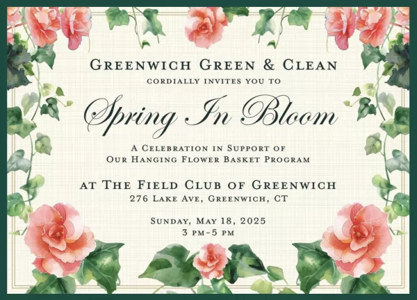 greenwich-green-clean-spring-in-bloom