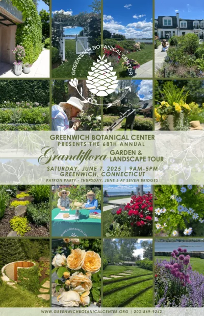 grandiflora-poster-2025