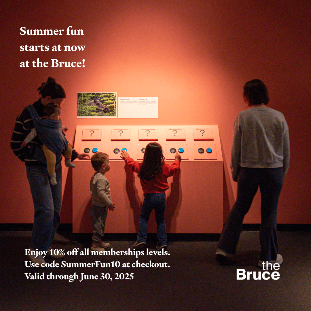 summer-fun-text