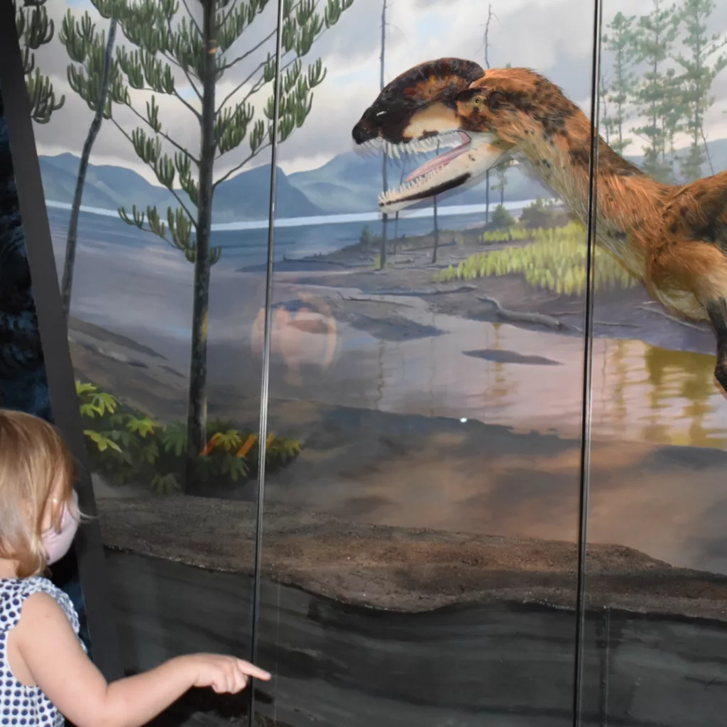 bruce-beginnings_-junior_-dinosaur-friends
