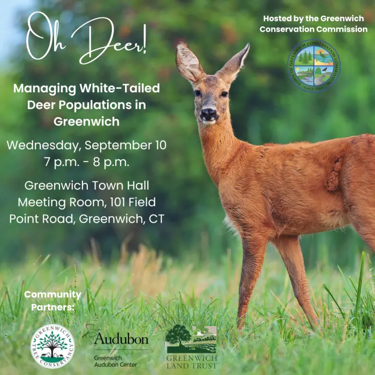oh-deer-sept-10-event