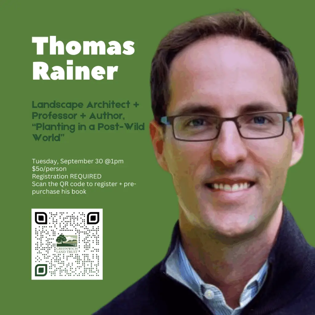 thomas-rainer-2
