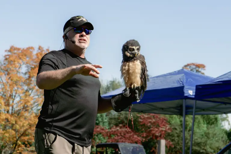 brian-bradley-spectacled-owl1