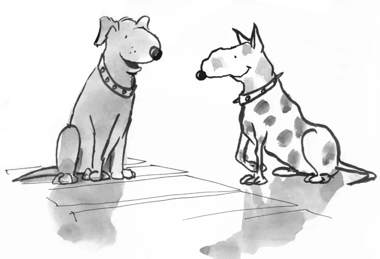 dogrecommendsneighborhoodtomellowdog-2