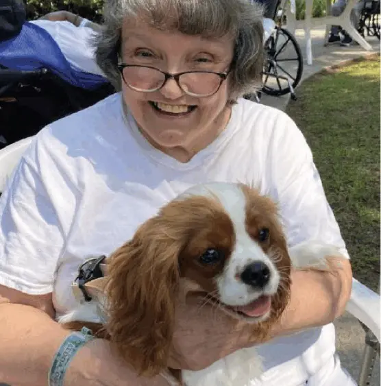 screenshot-2025-11-10-at-12-04-46-pm