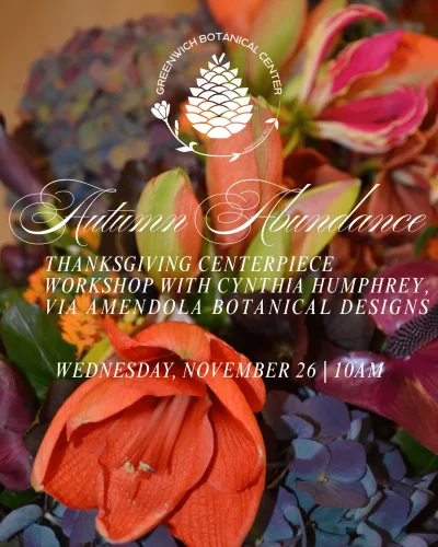 11-26-tgiv-workshop-1