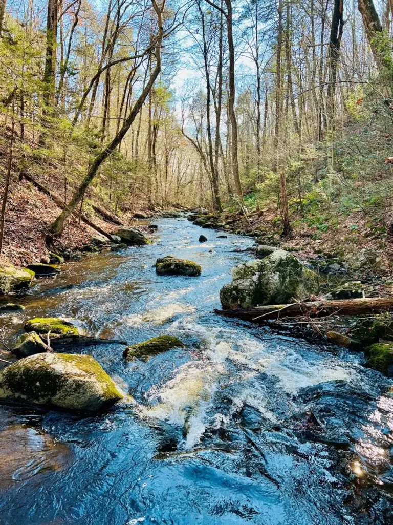 greenwich-land-trusts-new-byram-river-preserve